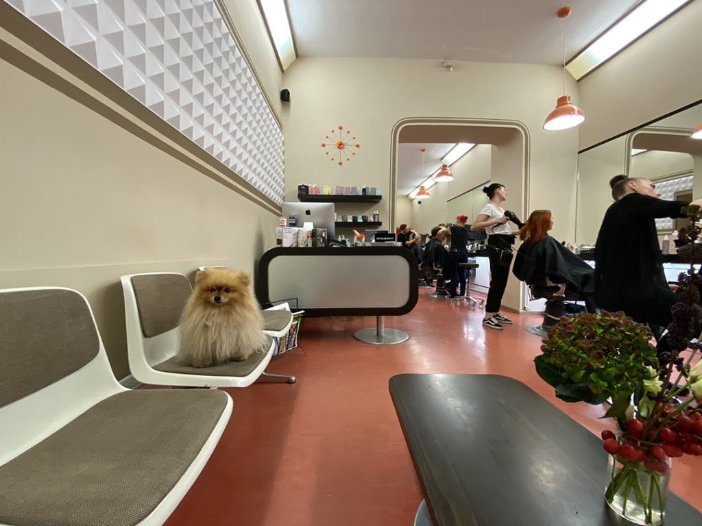 Ralf Hempfe und das Haareszeiten-Team im Salon